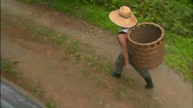 Horny Asian milf with trimmed pussy gets nailed from behind