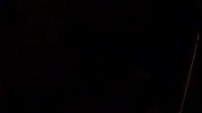 Pussy licking drives hot babe crazy for cock 2