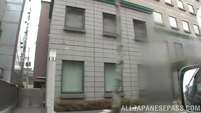 Lustful Asian milf Marika Tsutsui is drilled in a doggystyle 3