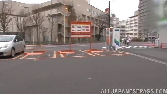 Lustful Asian milf Marika Tsutsui is drilled in a doggystyle 3