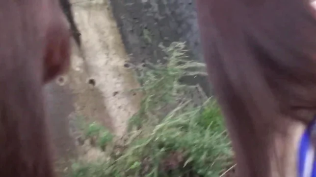 Sexy group sex adventure with horny Asian Risa Shiori 2