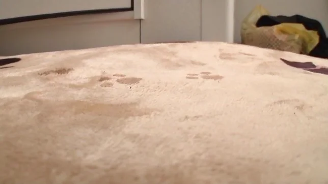 Monika Hasegawa featured in a kinky bonk