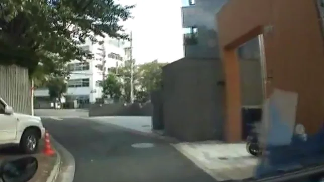 Miyo Kasuge Naughty Asian babe Sucks Cock In A Car