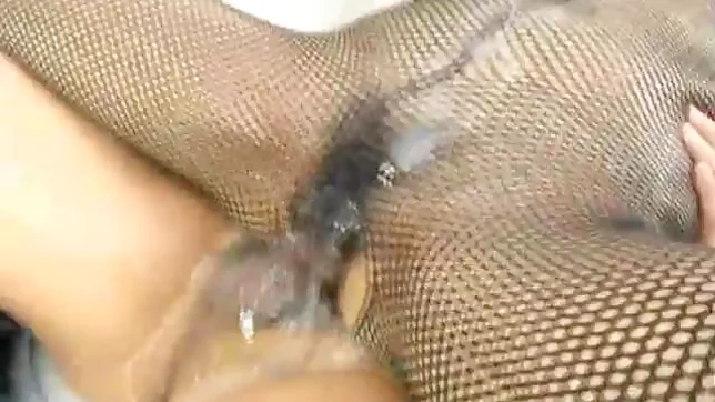 Miyo Kasuge Naughty Asian babe In Fishnets Gets Creampie 4