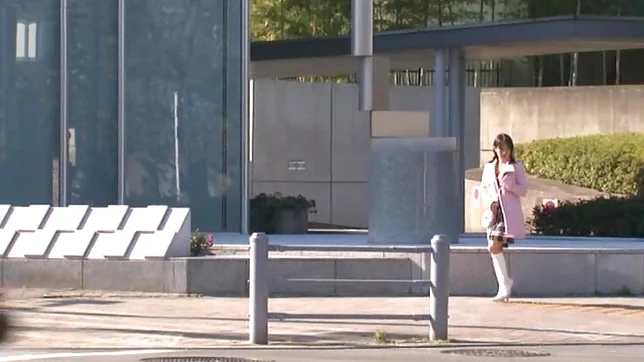 Kinky Japanese teen Nana Nanaumi has sex with a mature guy 2