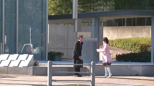 Kinky Japanese teen Nana Nanaumi has sex with a mature guy 2