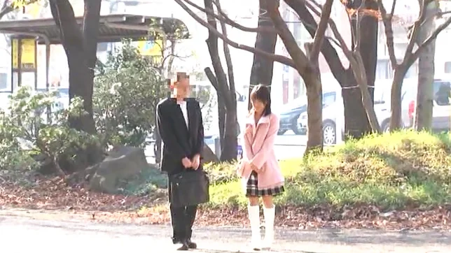 Kinky Japanese teen Nana Nanaumi has sex with a mature guy 2