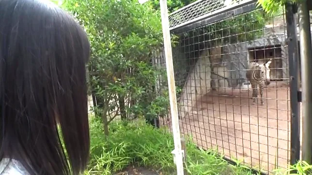 POV scene involving hot Asian teen getting fucked 7