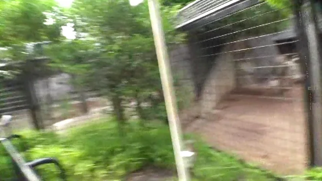 POV scene involving hot Asian teen getting fucked 7