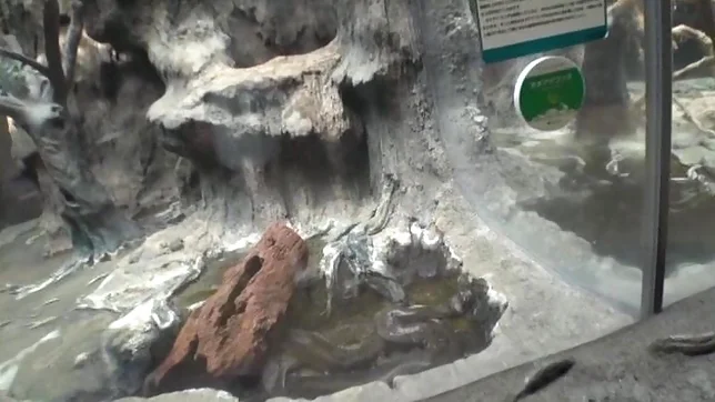 POV scene involving hot Asian teen getting fucked 7