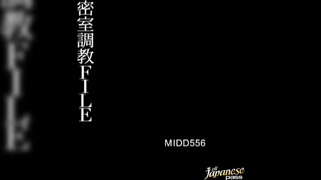 Karina Sasaki Japanese doll is an obedient secretary 3