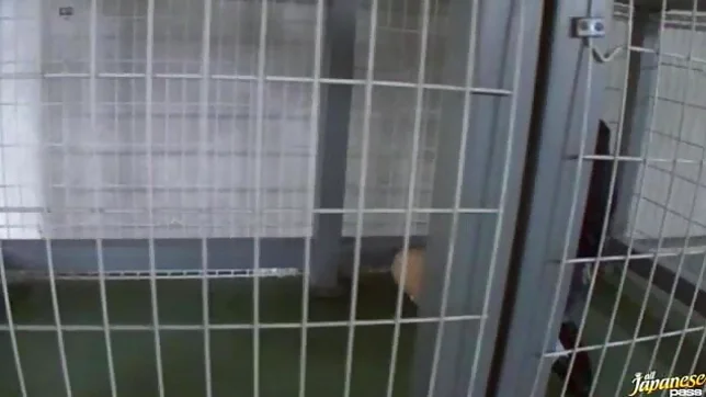 Shizuku Hasegawa fingered and fucked 2