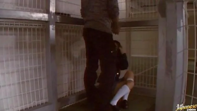 Shizuku Hasegawa fingered and fucked 2