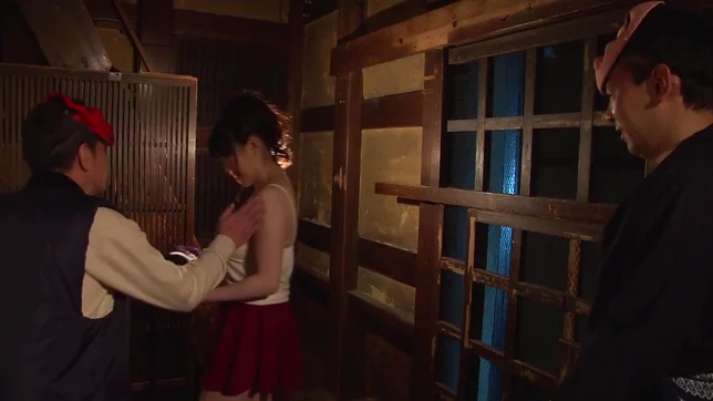 Appetizing Japanese milf Sena Minami fucked by strange visitors 2