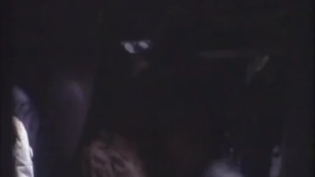 Hot Asian babe, Hitomi Shiraishi sucks and fucks an old guy 2