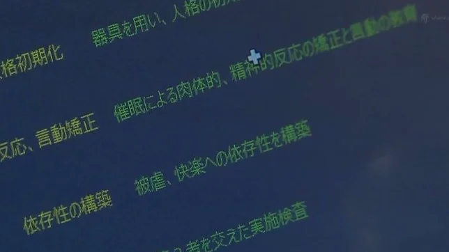 Kinky Asakura Yuu plays with toys in foursome