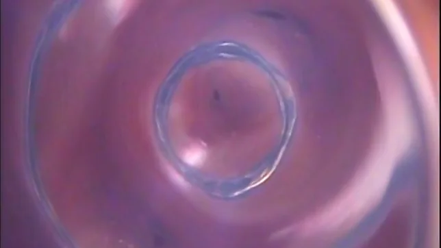 Himena Ebihara lovely Asian babe shaves her sweet pussy 4