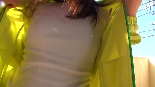 Delicious Hikaru Kawana flaunts her awesome body