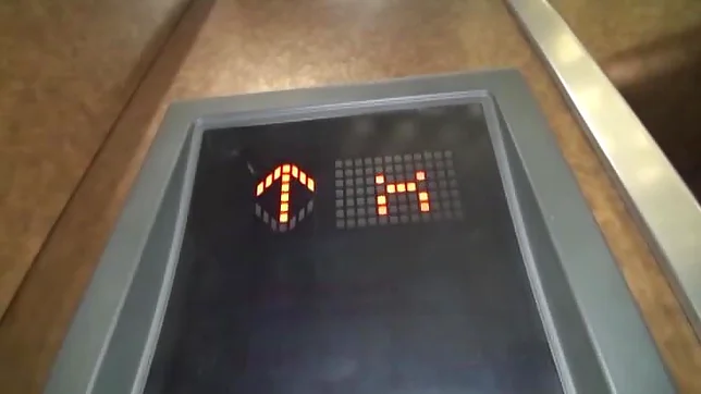 Frisky Asian nympho gets her pussy rubbed and fucked really hard 5