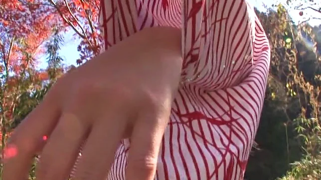 Big-tittied amateur Asian milf enjoys titfuck and pussy banging in a bath 2