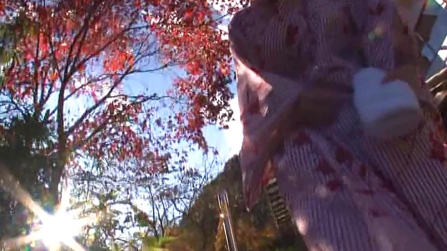 Big-tittied amateur Asian milf enjoys titfuck and pussy banging in a bath 2