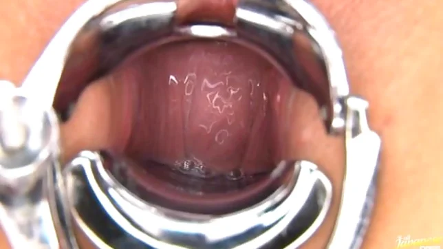 Hikaro ose lovely Asian babe is tied and guys tease her shaved pussy 3