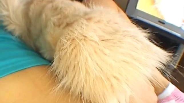 Rin Satomi Beautiful Asian doll shaves her pussy and shows it off 6