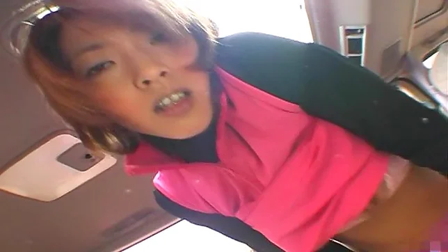 Busty teen plays with cock while in the car 2