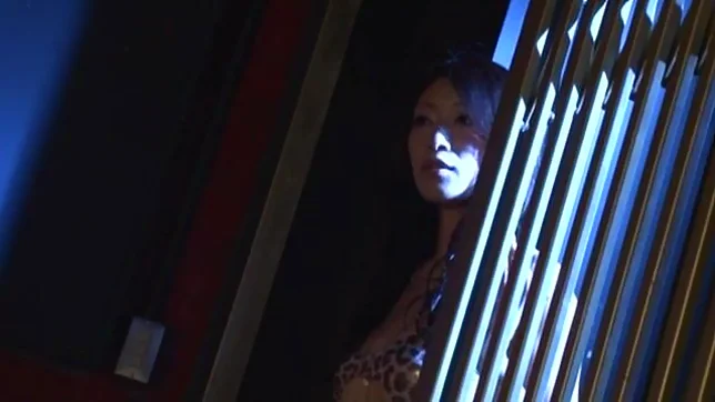 Hot mature chick Reiko Kobayakawa in sexy lingerie and fucking