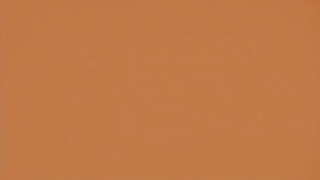 Playful Japanese AV model Ayumi Hasegawa shows off her big tits