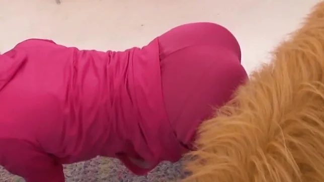 Sexy amateur teen Nozomi Hazuki posing on cam and dancing 2