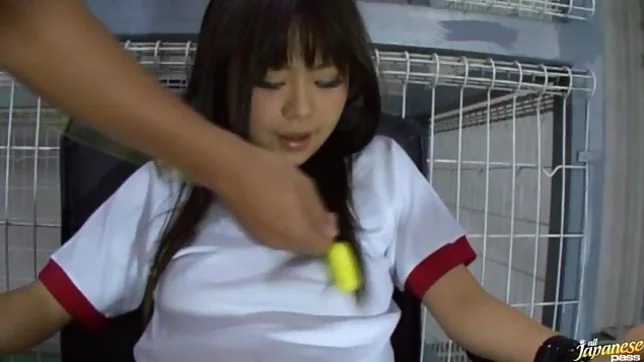 Shizuku Hasegawa gets down to kinky business!