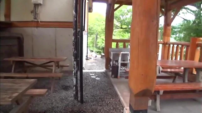 Cutie has her pink hole ravaged indoors 5