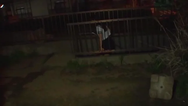 Super hot Japanese group porn in smashing POV scenes 5