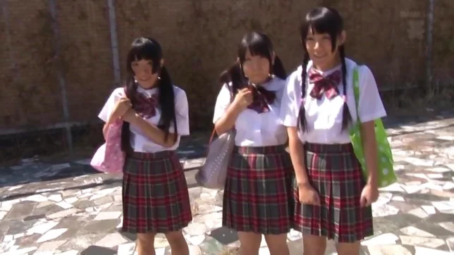 Hardcore schoolgirl loves the tasty fuck 3