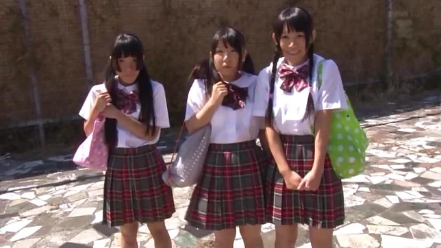 Hardcore schoolgirl loves the tasty fuck 3