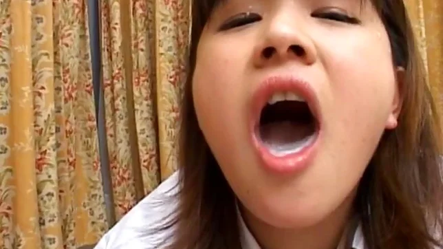 Great POV Blowjob From The S Lips Of Mai Mariya 3
