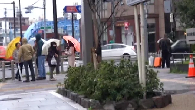 Enjoys a throbbing lesbo action idnoors