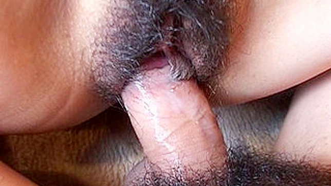 Hairy Asian teen gets fucked hard and jizzed all over
